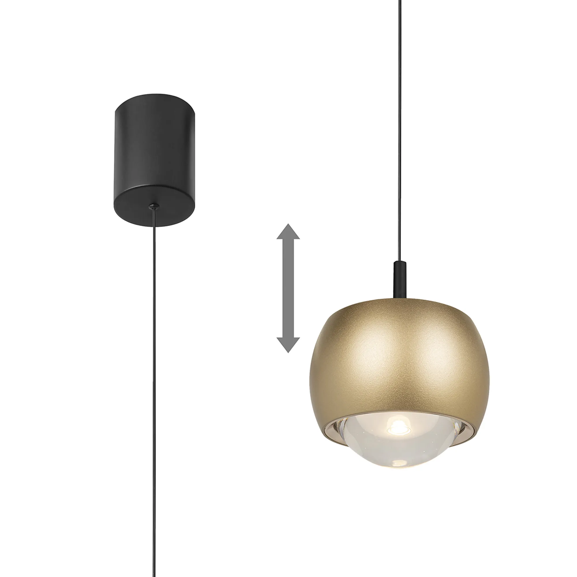 Roller Rise And Fall Pendant 12W LED Gold
